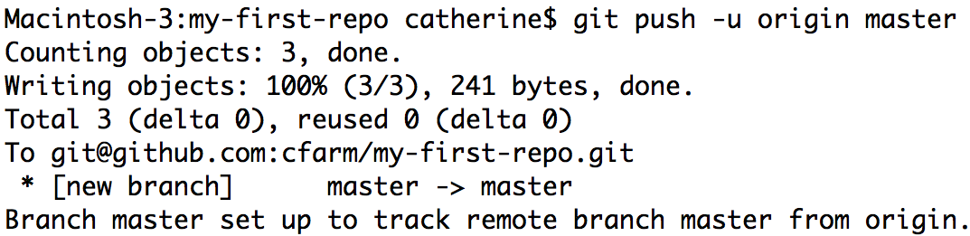 Github success message in the command line! Branch master set up to track remote branch master from origin.